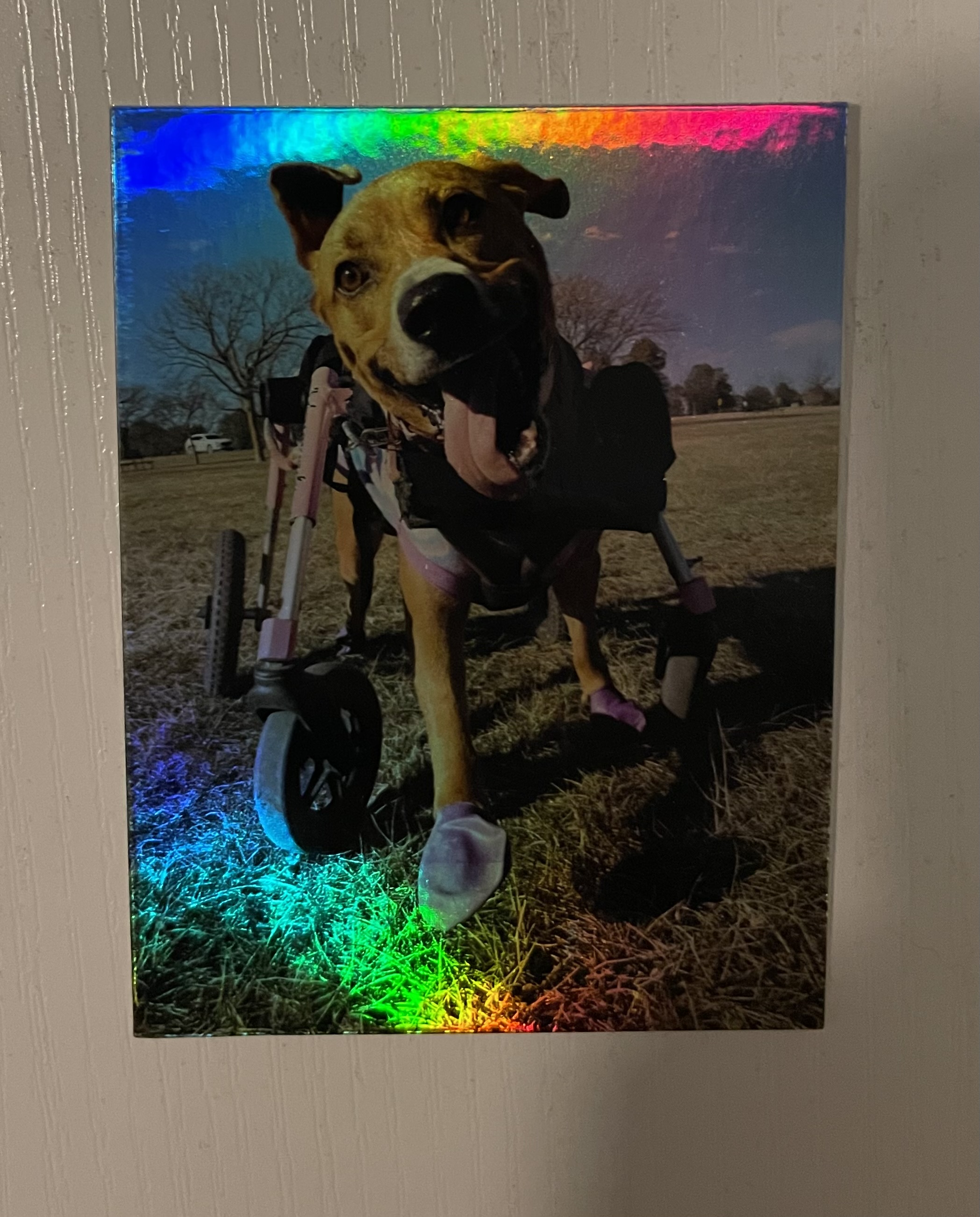 Hannah Holographic Square Sticker