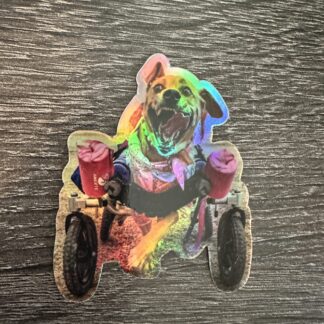 Wild-N-Out Hannah Holographic Sticker